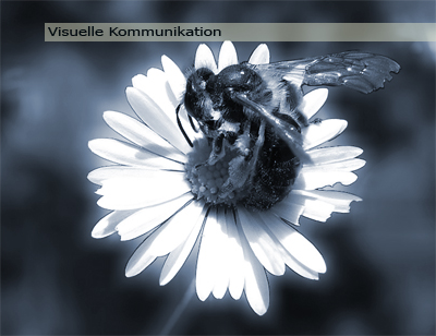 Visuelle Kommunikation